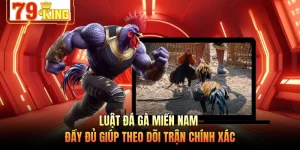 Luật Đá Gà Miền Nam - Đầy Đủ Giúp Theo Dõi Trận Chính Xác